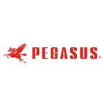 Pegasus