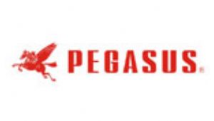 Pegasus